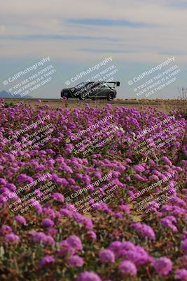 media/Jan-08-2023-SCCA SD (Sun) [[8f6a5b9391]]/Intermediate Group/Session 2 (Short Straight)/